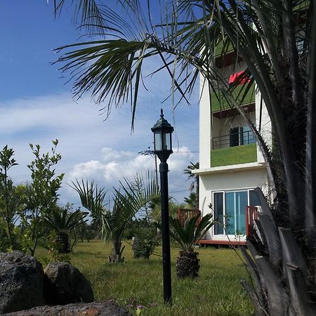 Jeju Bada Wi Olle Pension Σεογκουίπο Εξωτερικό φωτογραφία
