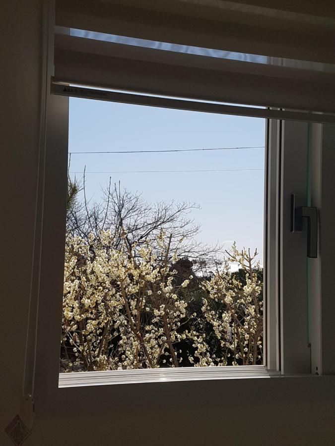 Jeju Bada Wi Olle Pension Σεογκουίπο Εξωτερικό φωτογραφία