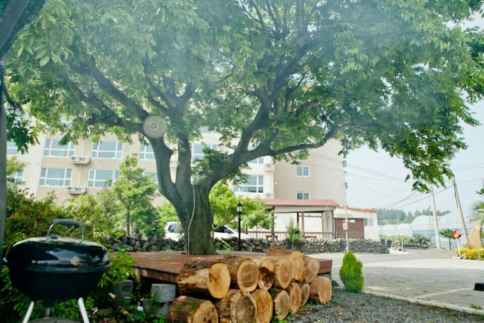 Jeju Bada Wi Olle Pension Σεογκουίπο Εξωτερικό φωτογραφία